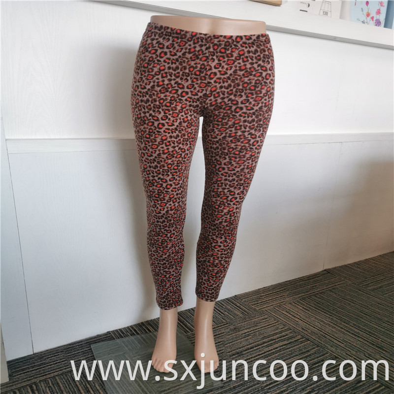 Japanese Style Spandex Leopard Leggings